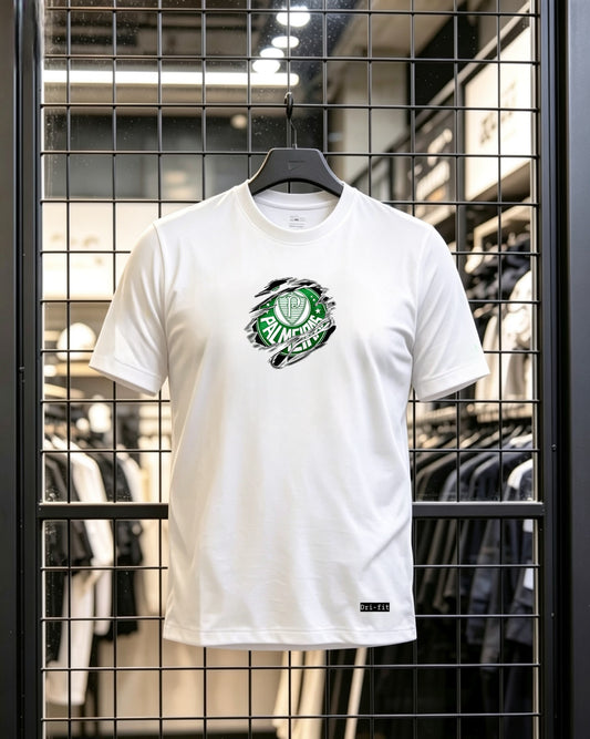 PALMEIRAS TORCEDOR