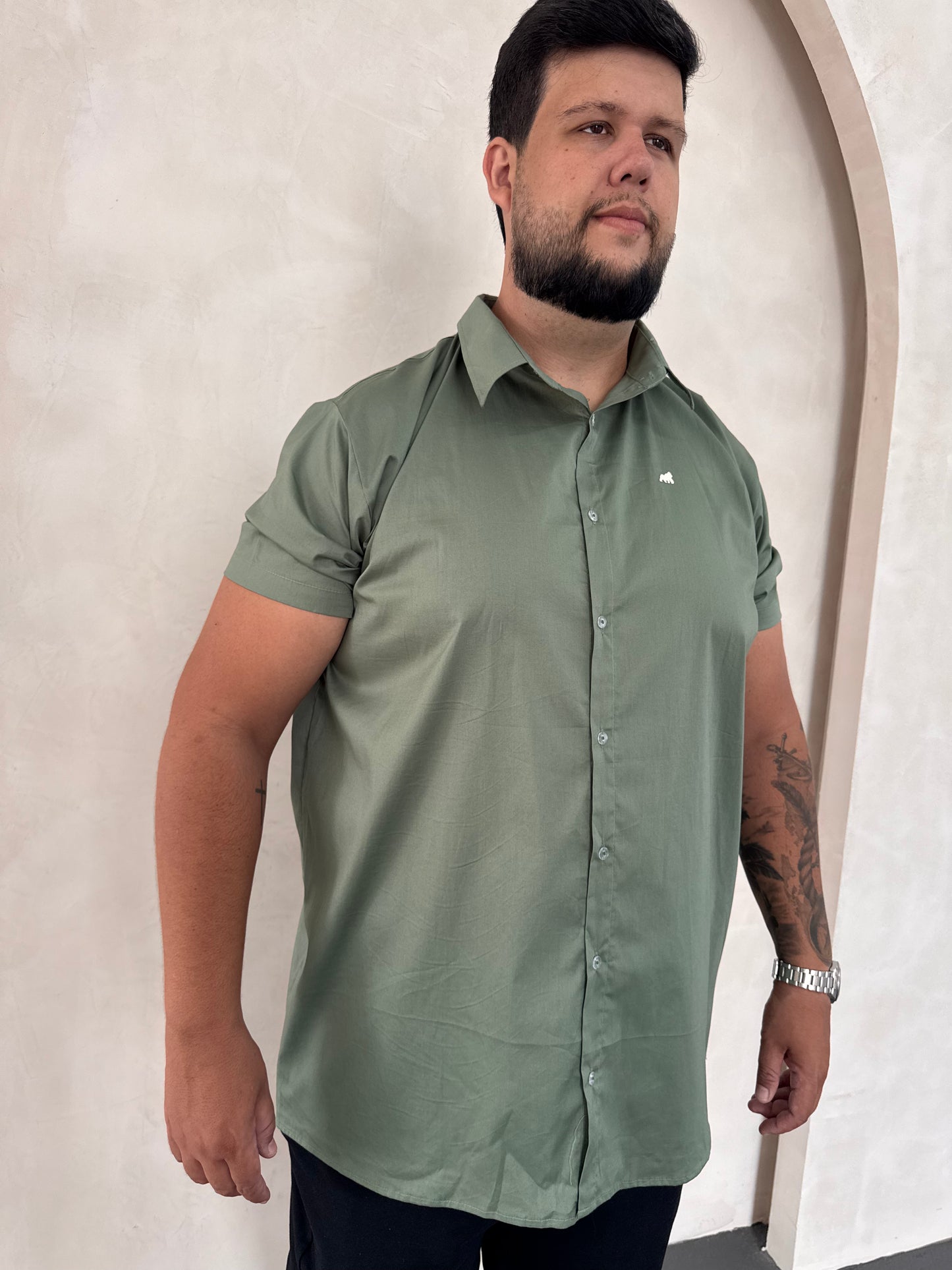 Camisa Social Titan - Verde Folha Clara