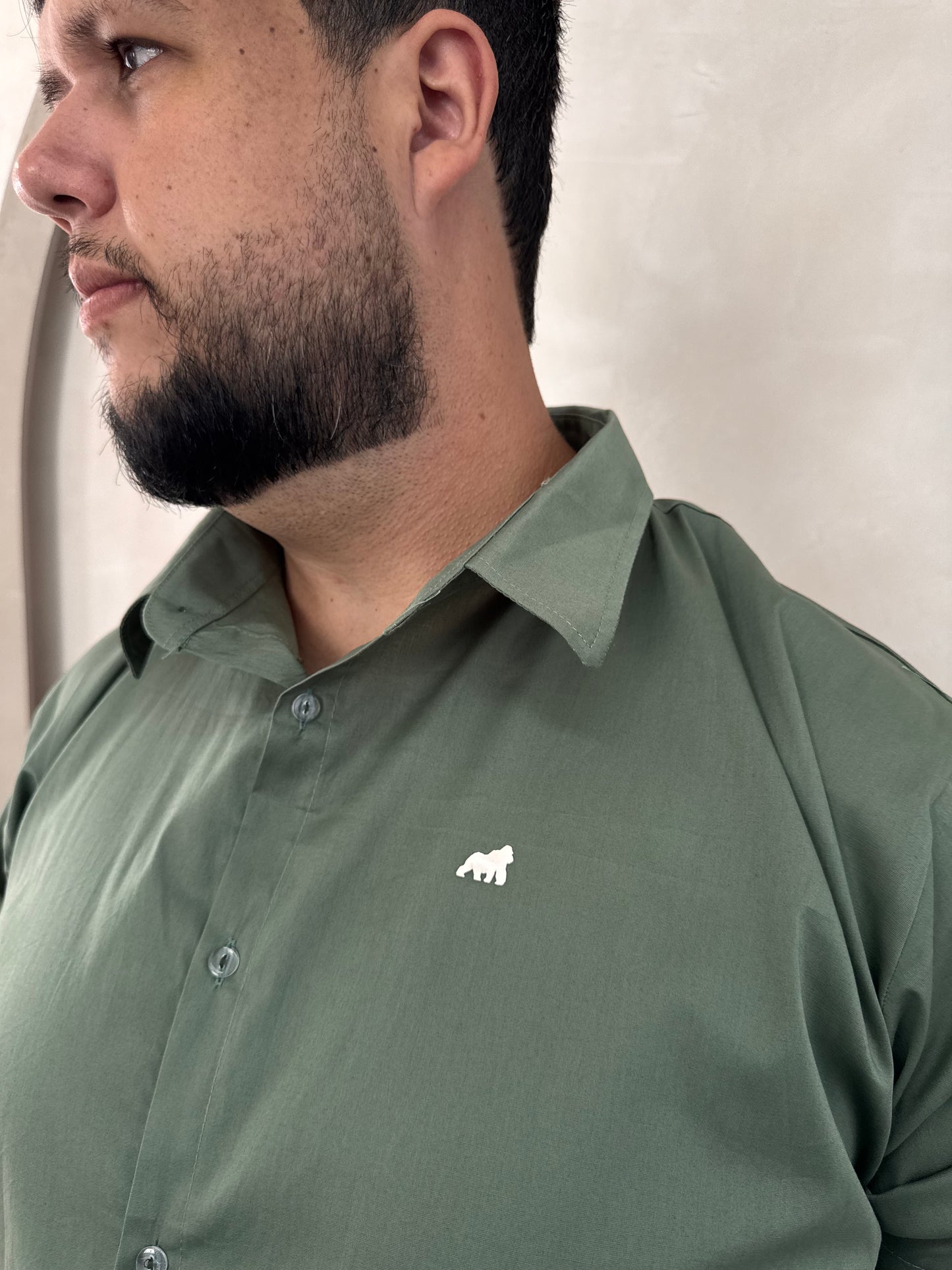 Camisa Social Titan - Verde Folha Clara