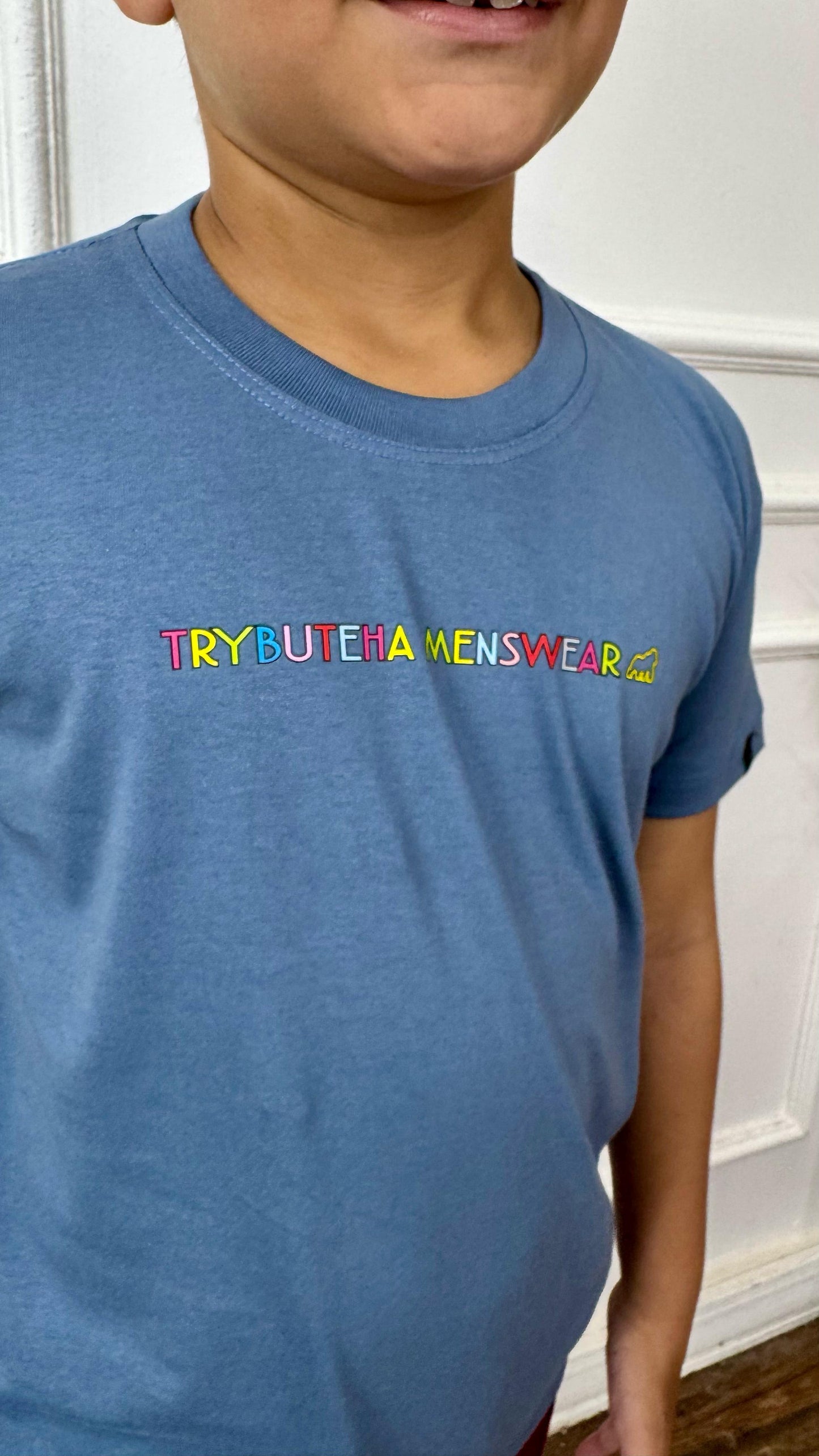 CAMISETA TRYBUTEHA COLORIDA